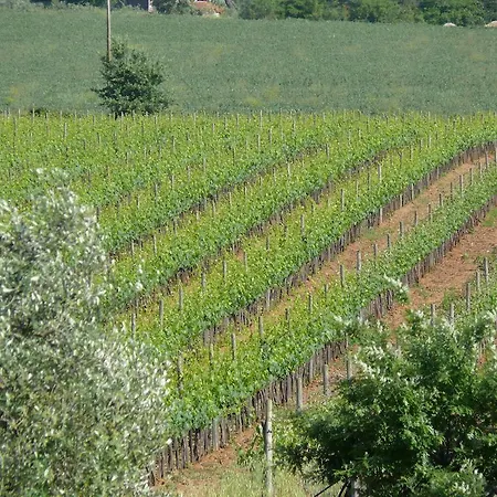 Lantgård La Quercia